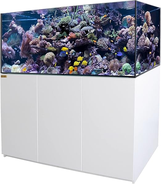 185 Gallon Coral Reef Aquarium Tank Premium Tempered & Ultra Transparent Glass with Sump(Complete Aquarium Setup) All White