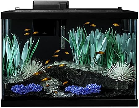 Tetra ColorFusion Aquarium 20 Gallon Fish Tank Kit, Includes LED Lighting and Decor