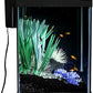 Tetra ColorFusion Aquarium 20 Gallon Fish Tank Kit, Includes LED Lighting and Decor