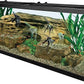Tetra Glass Aquarium 55 Gallons, Rectangular Fish Tank (NV52018)